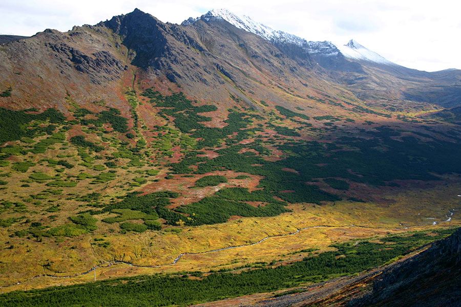 Powerline Pass at Chugach State Park